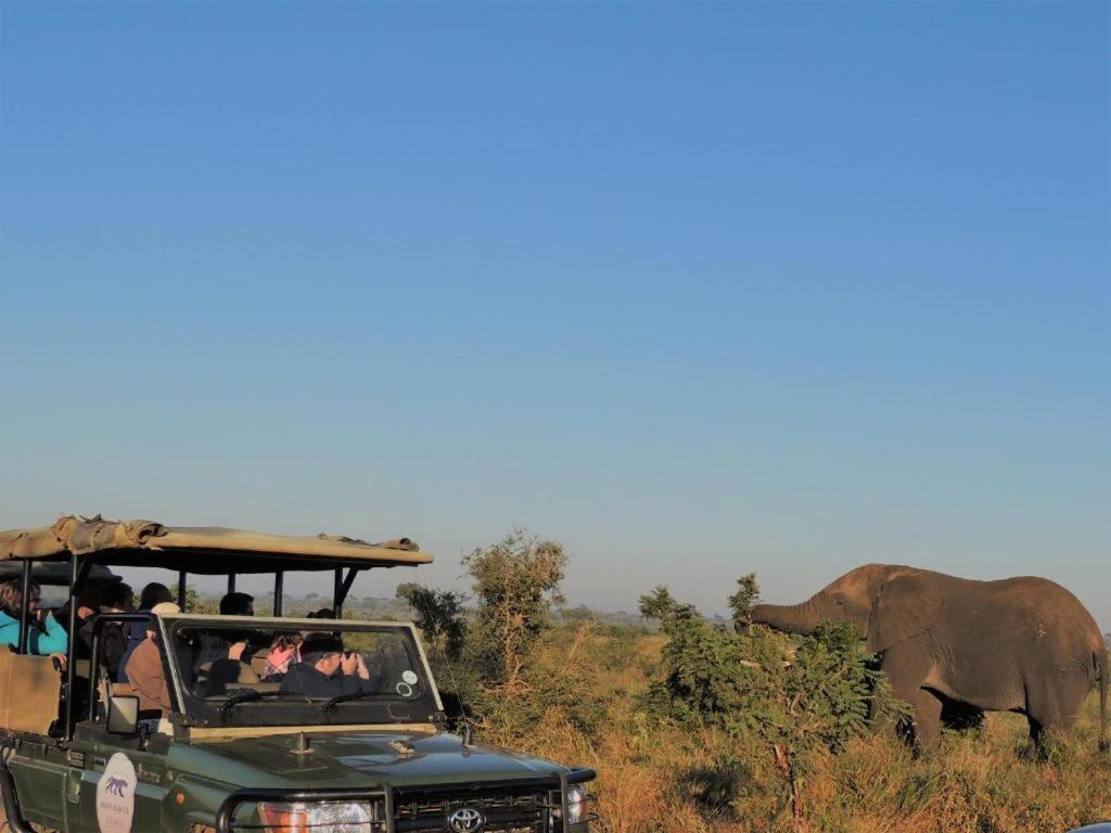Croc Orvyll'S Kruger Lodge Marloth Park Eksteriør bilde